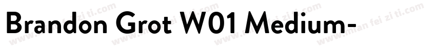 Brandon Grot W01 Medium字体转换